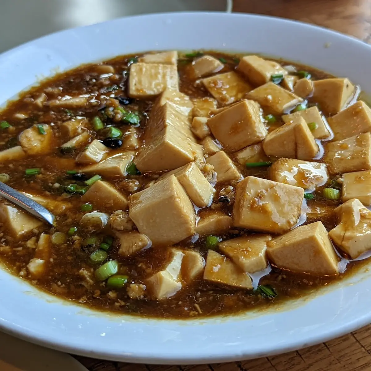 spicy mapo tofu 麻婆豆腐